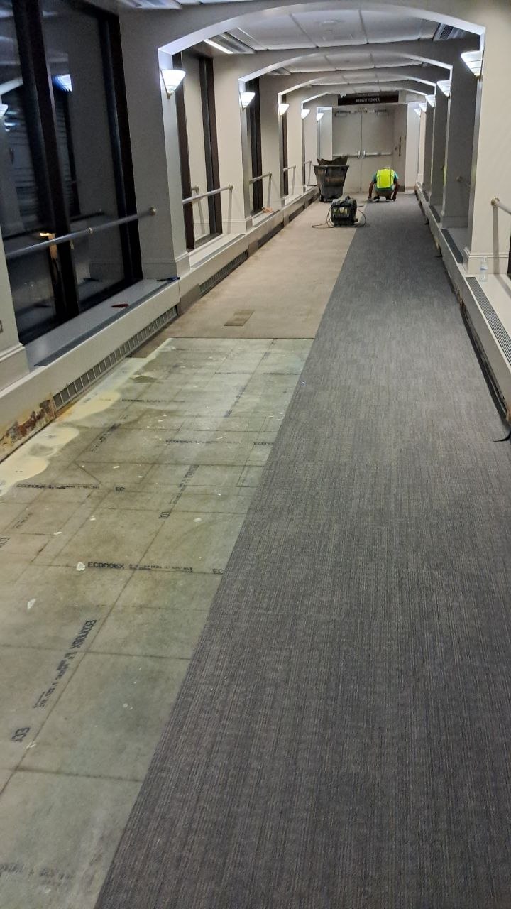 Commercial Corridor — Carpet Tile Install