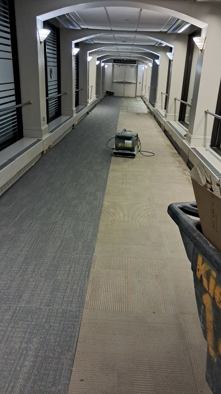 Commercial Flooring — In-Progress