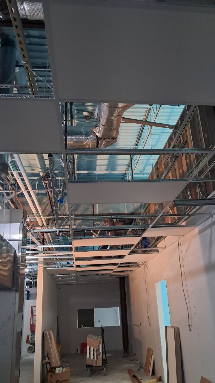 Commercial Interior — Framing & Ceiling Prep